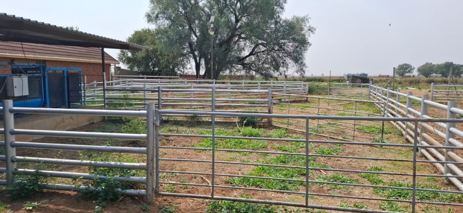  Bedroom Property for Sale in Bainsvlei Free State